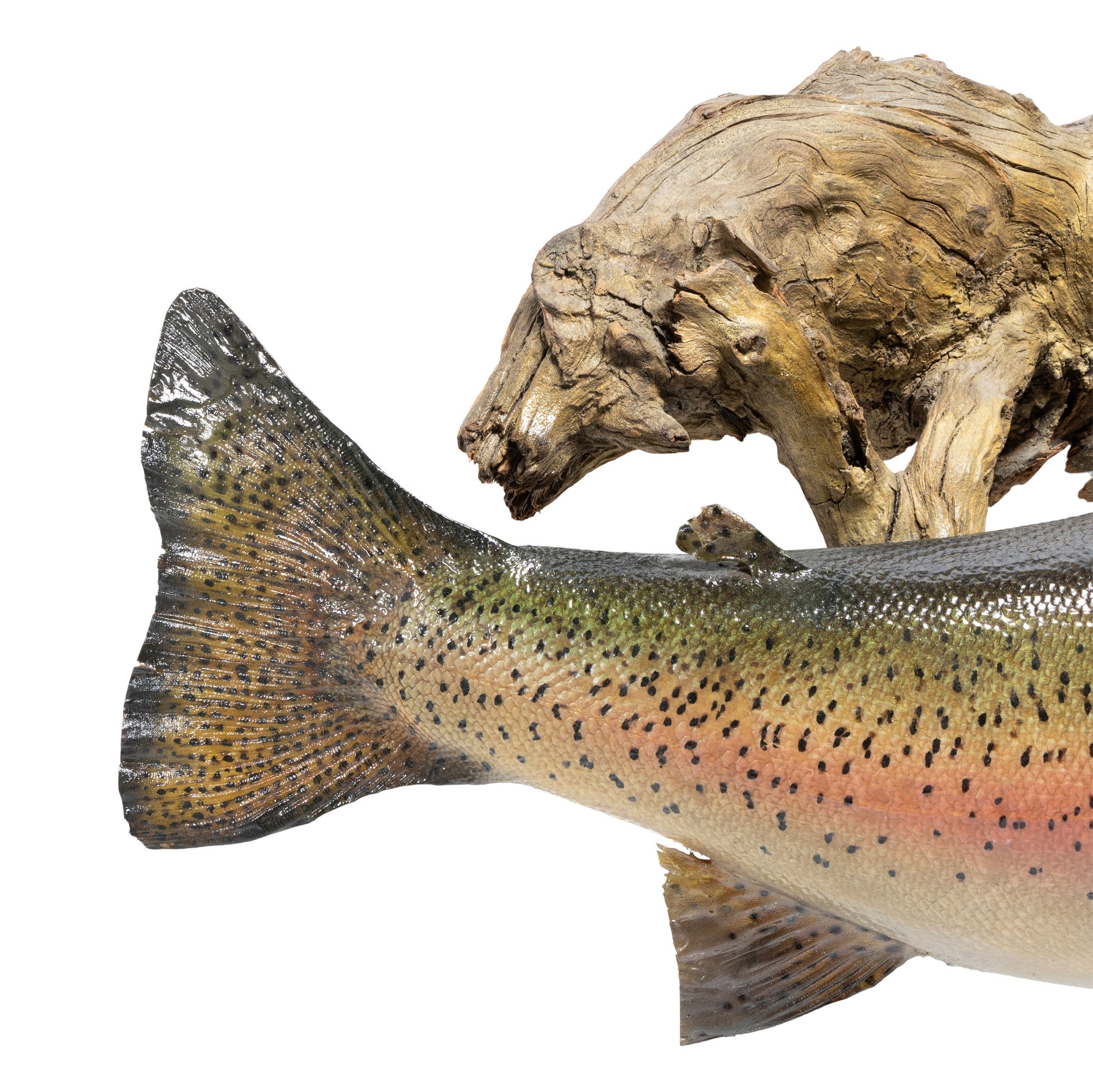 Large Bear Lake Rainbow
