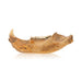 Cave Bear Fossil, Furnishings, Decor, Other