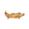 Cave Bear Fossil