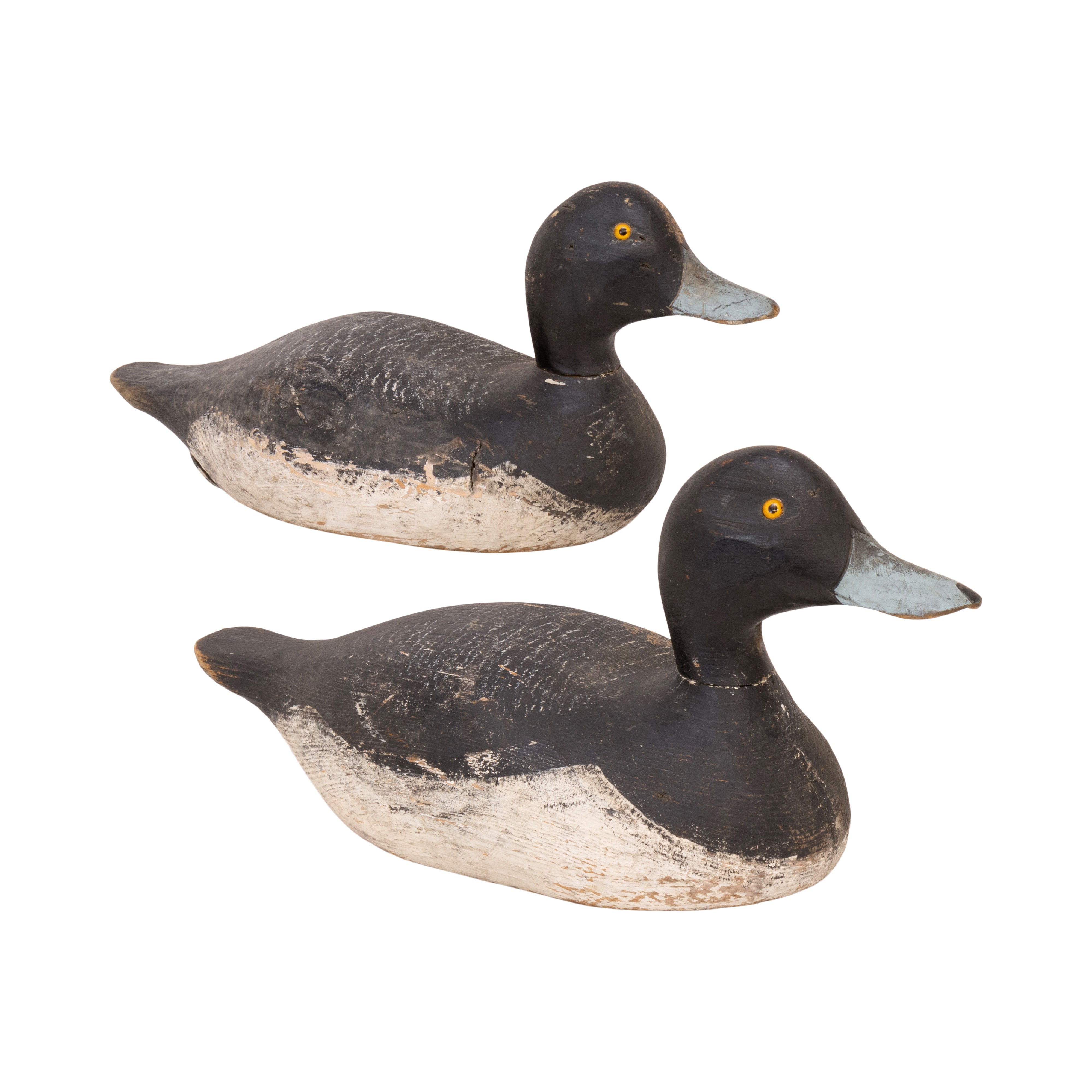Drake Bluebill Decoys, Sporting Goods, Hunting, Waterfowl Decoy