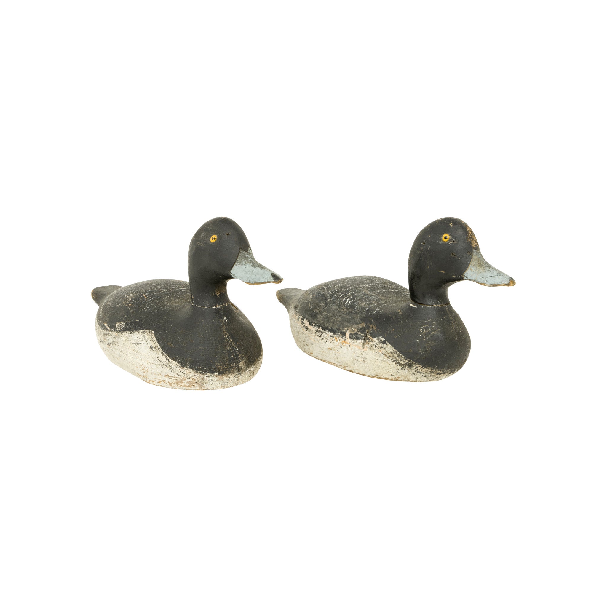Drake Bluebill Decoys, Sporting Goods, Hunting, Waterfowl Decoy