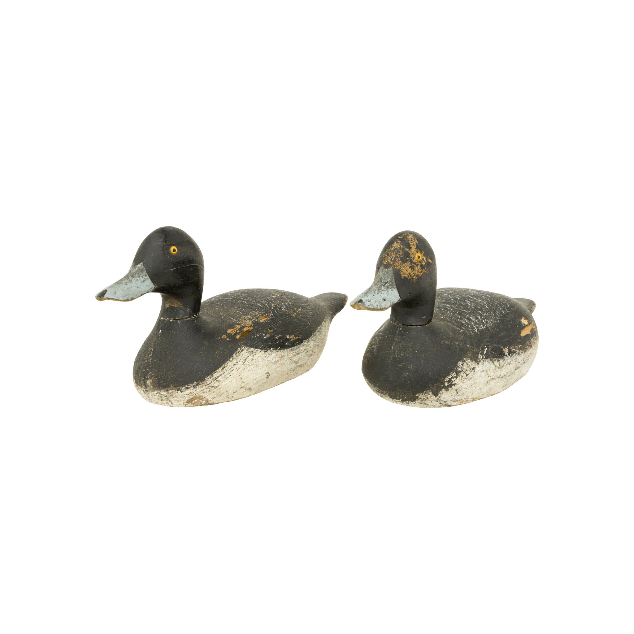 Drake Bluebill Decoys