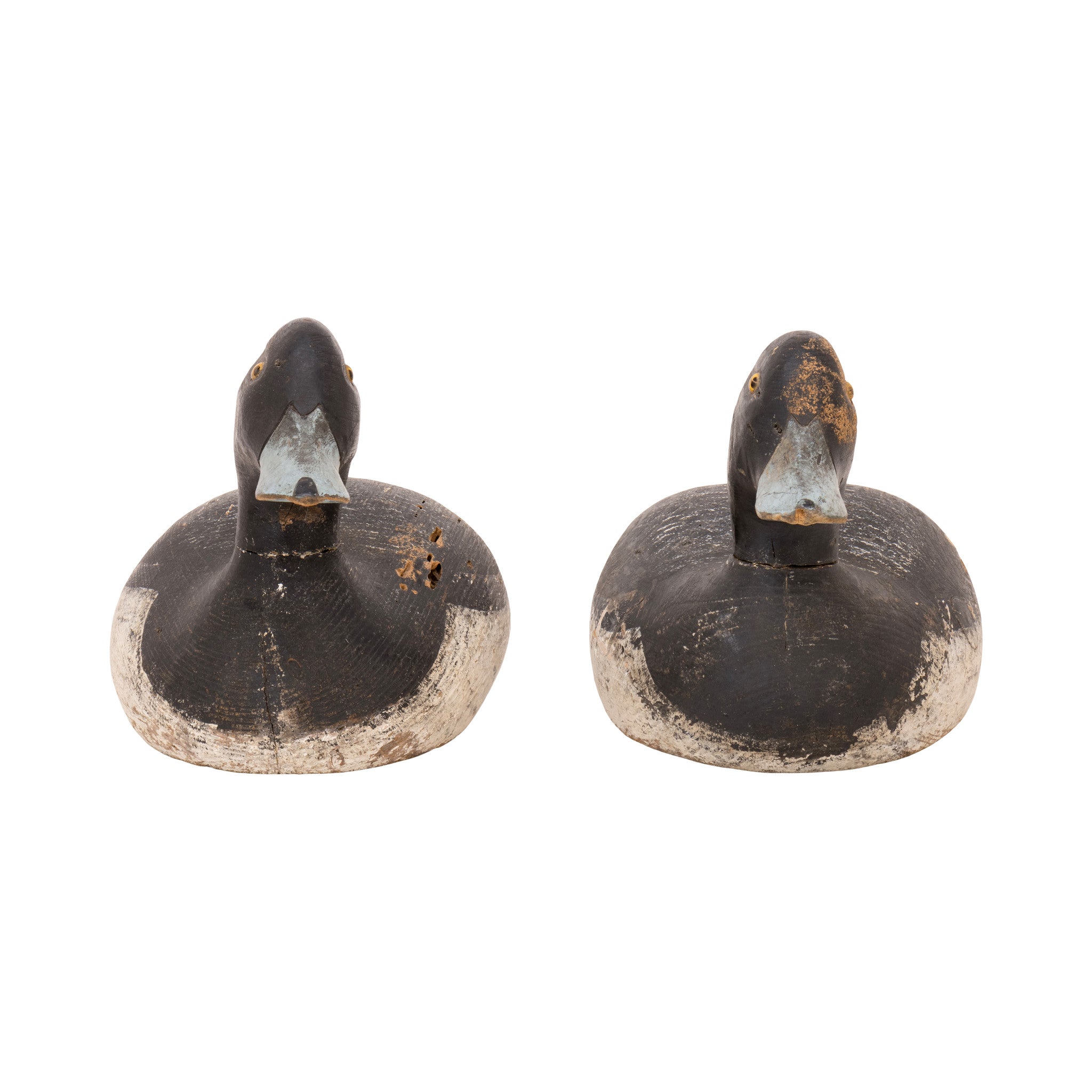 Drake Bluebill Decoys