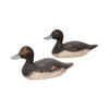Drake Bluebill Decoys