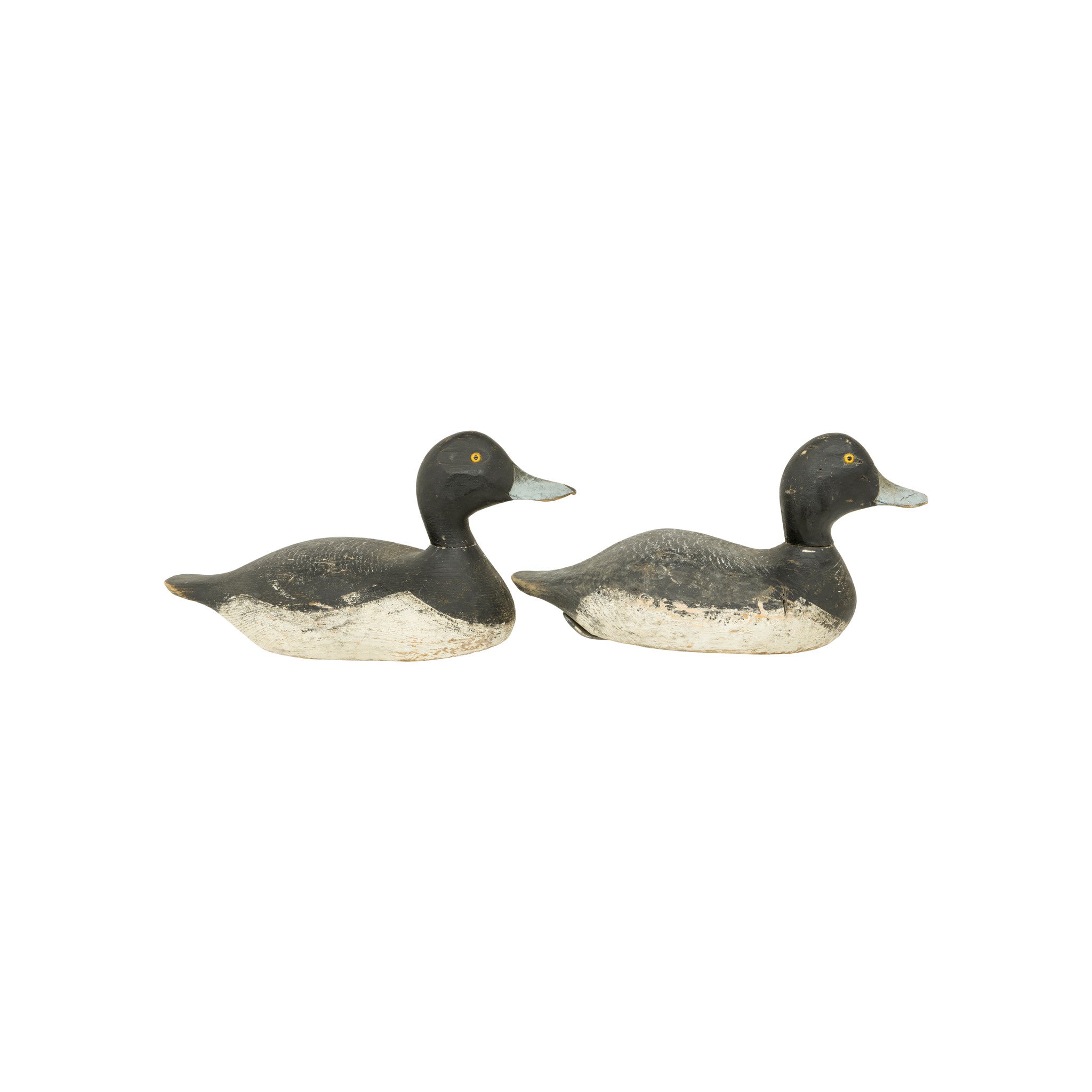 Drake Bluebill Decoys