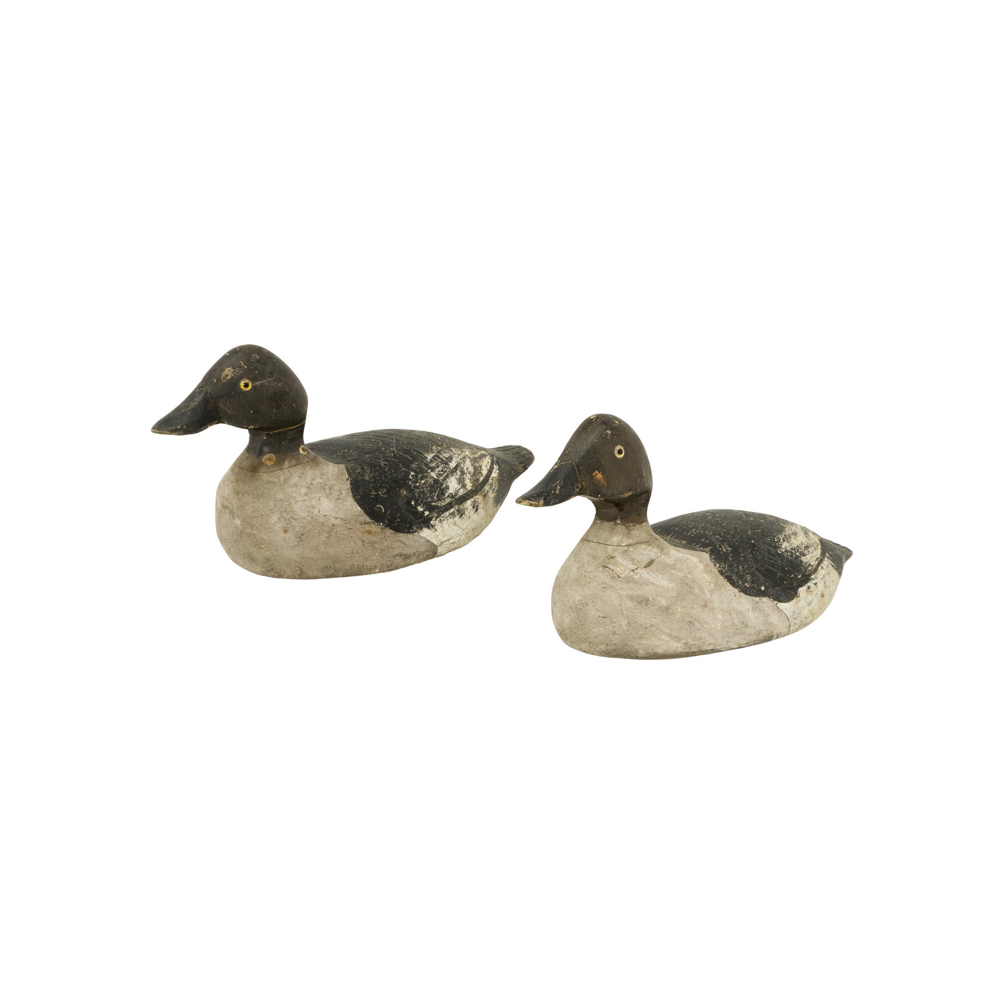 Two Golden Eye Hen Decoys