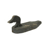 Taylor Harwich Black Duck Decoy