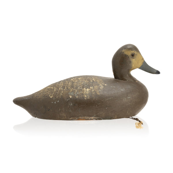 Walter Struebing Magnum Canvasback Hen Decoy, Sporting Goods, Hunting, Waterfowl Decoy