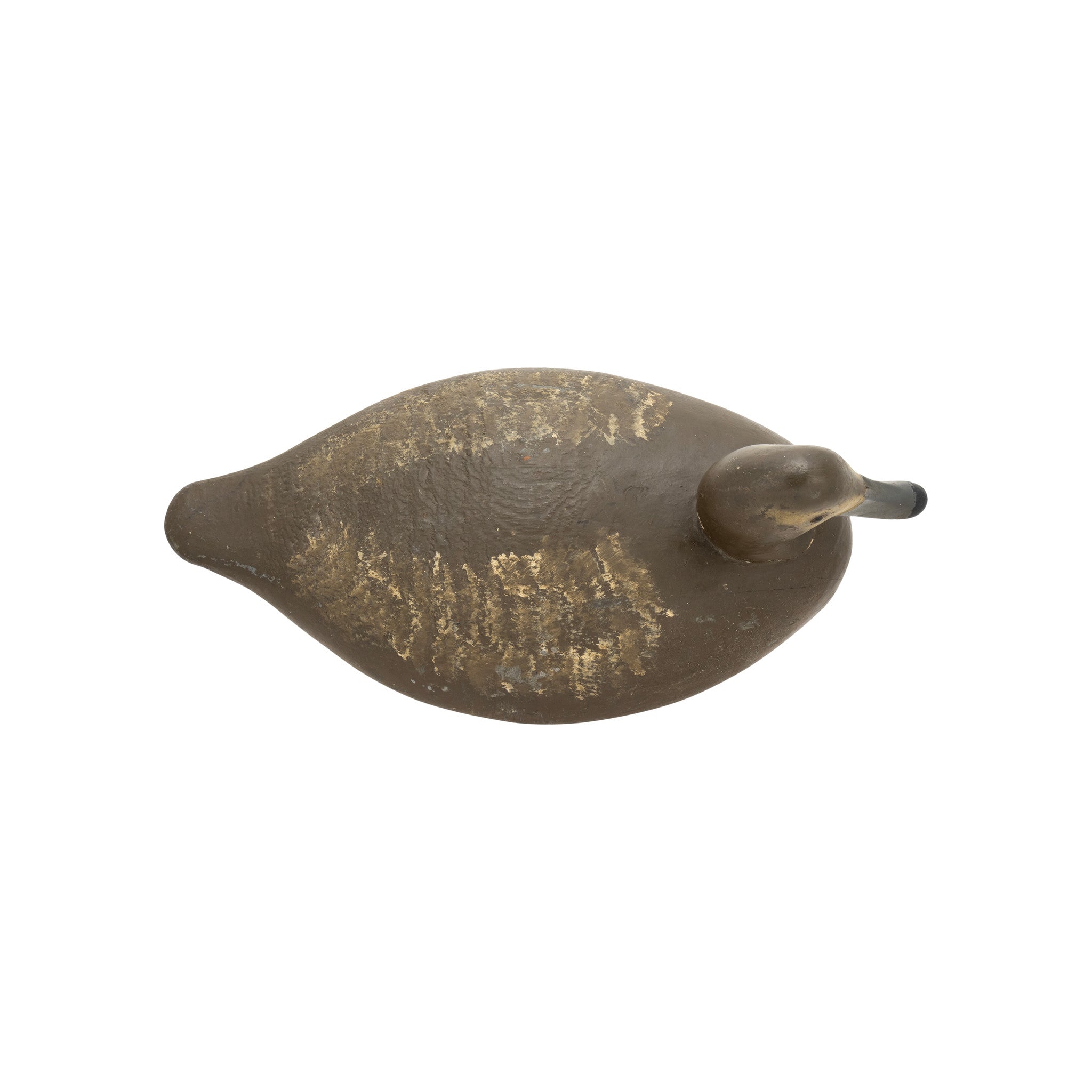 Walter Struebing Magnum Canvasback Hen Decoy