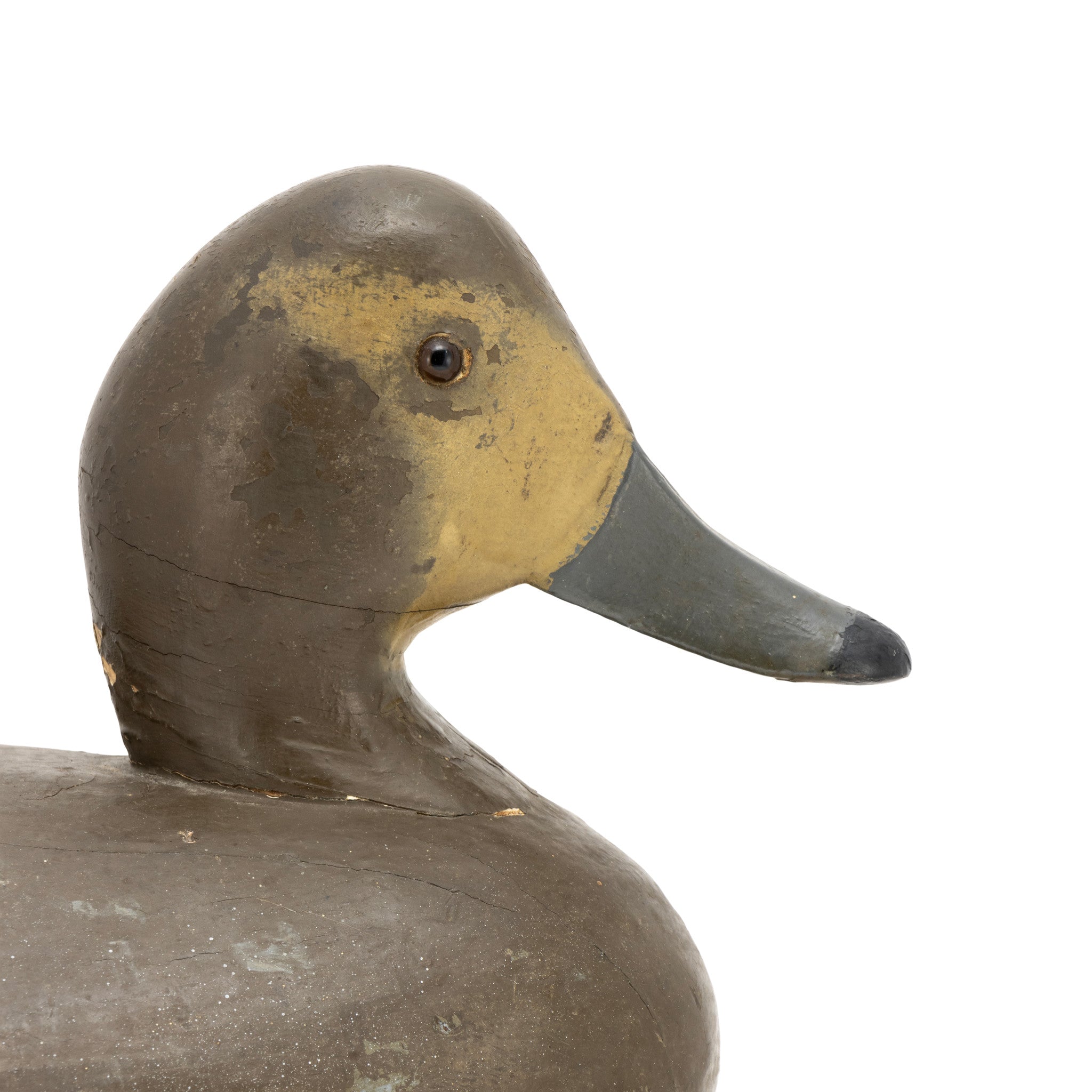 Walter Struebing Magnum Canvasback Hen Decoy
