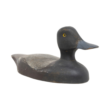 Blue Bill Decoy, Sporting Goods, Hunting, Waterfowl Decoy