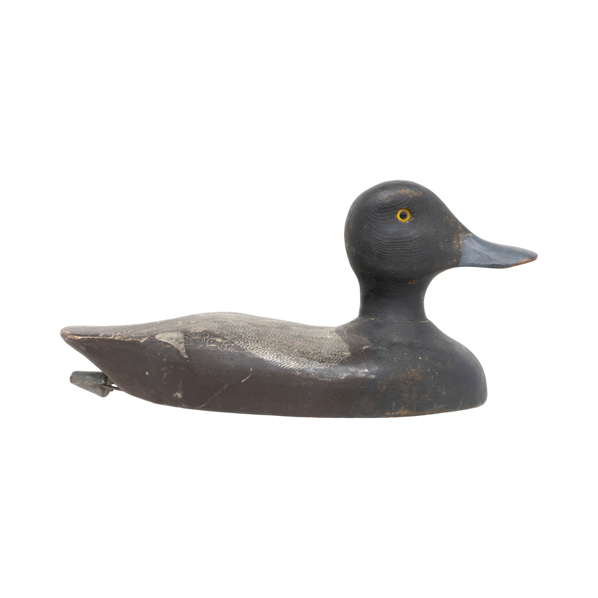 Blue Bill Decoy