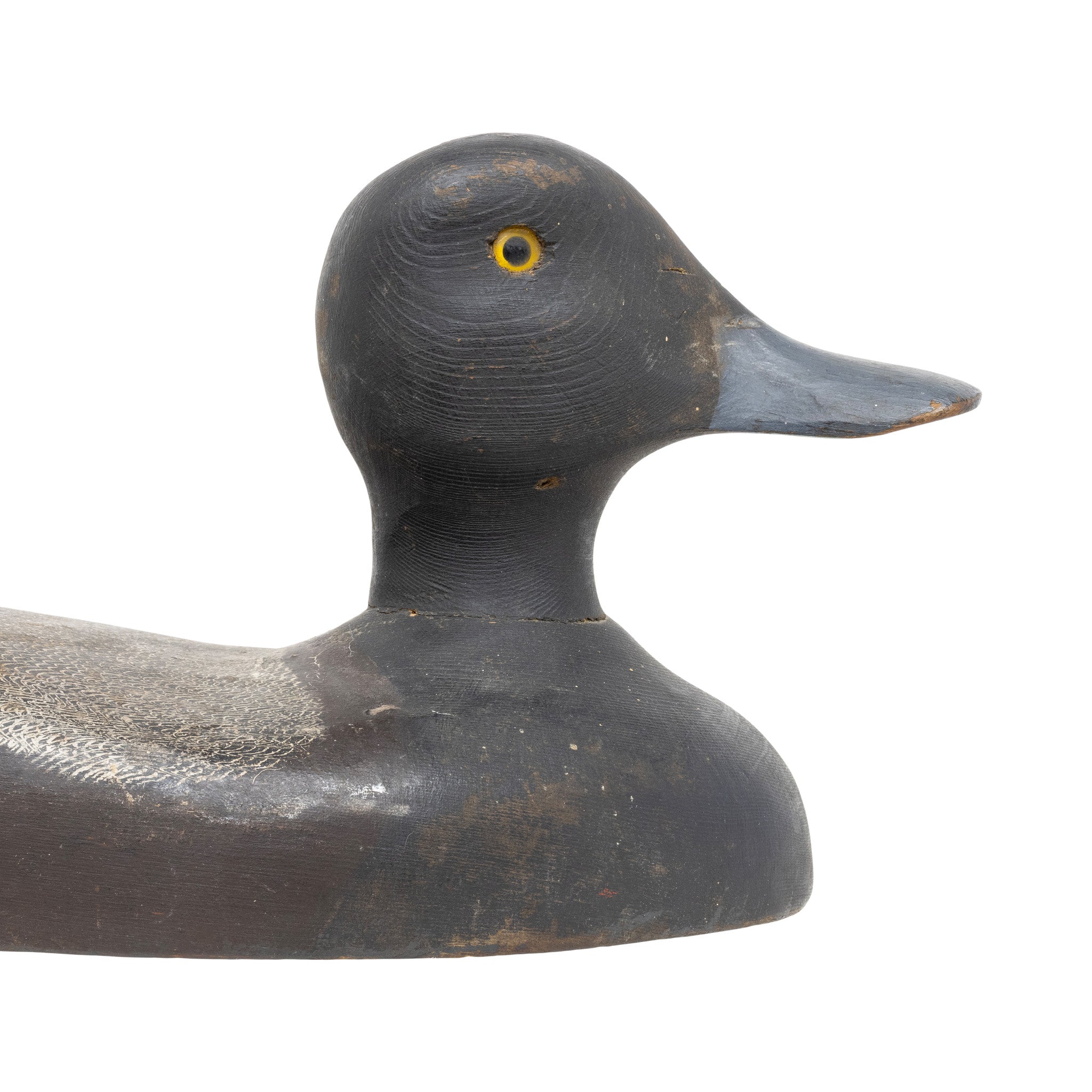 Blue Bill Decoy