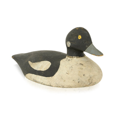 Henley Sorby Bufflehead Decoy, Sporting Goods, Hunting, Waterfowl Decoy
