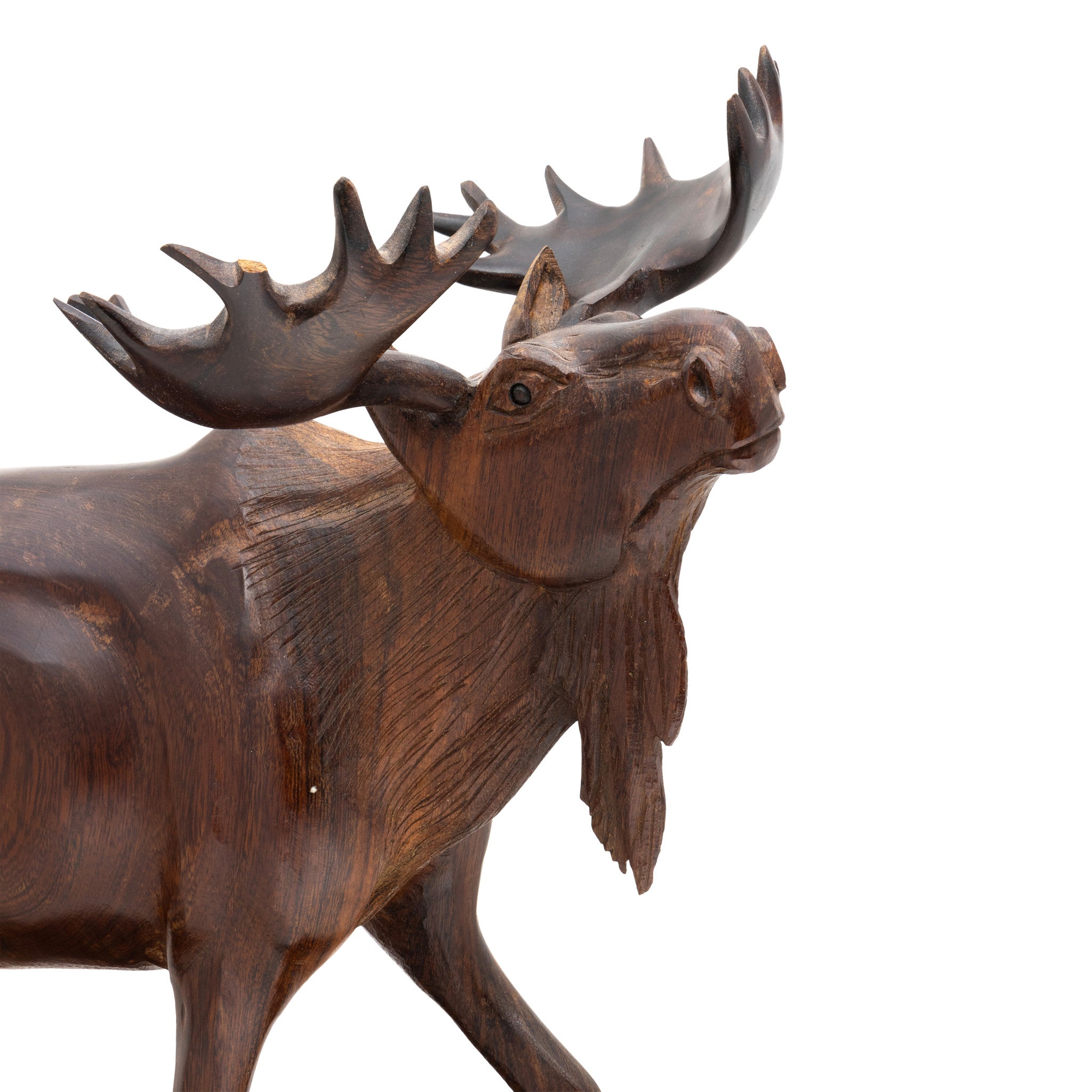 Desert 2024 Ironwood Moose Box carving