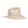 Cowboy Hat