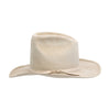 Cowboy Hat