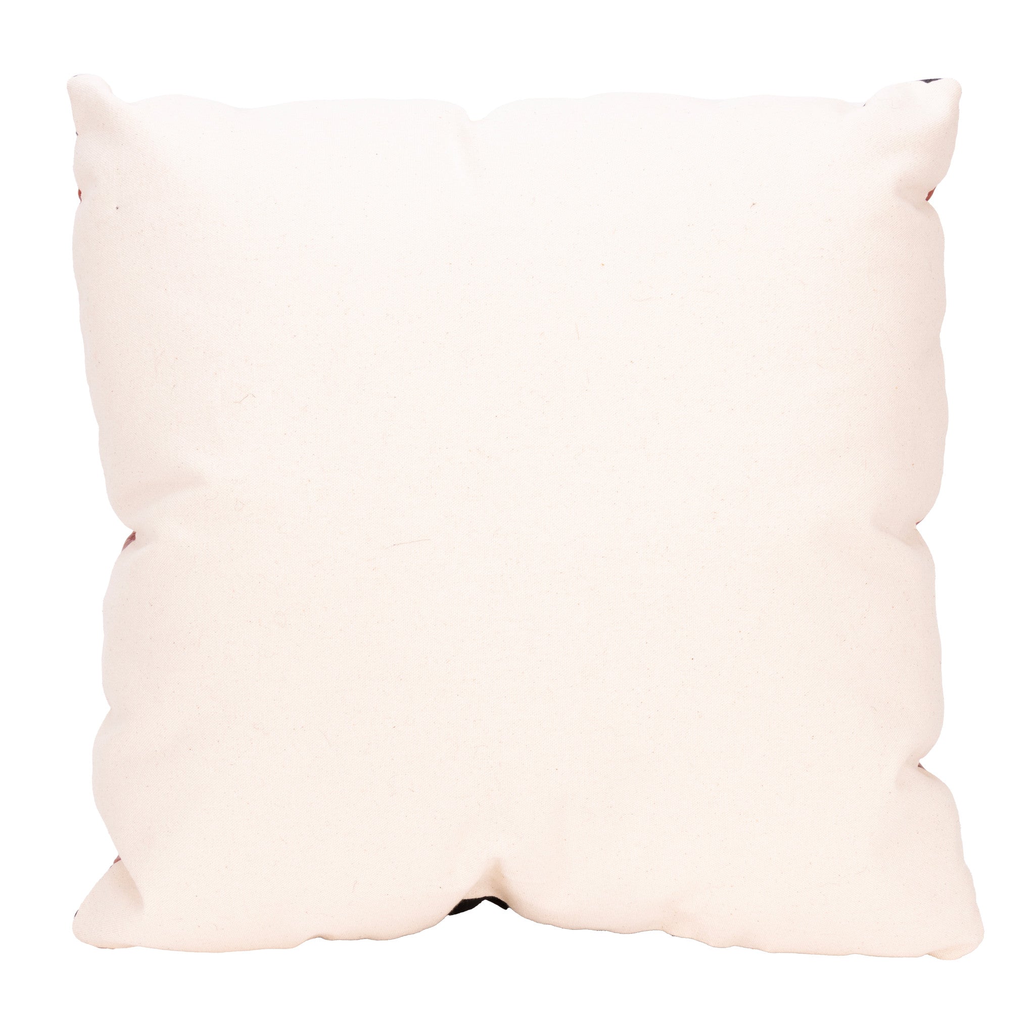 Navajo Transitional Pillow