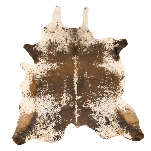 Longhorn Hide, Furnishings, Taxidermy, Longhorn