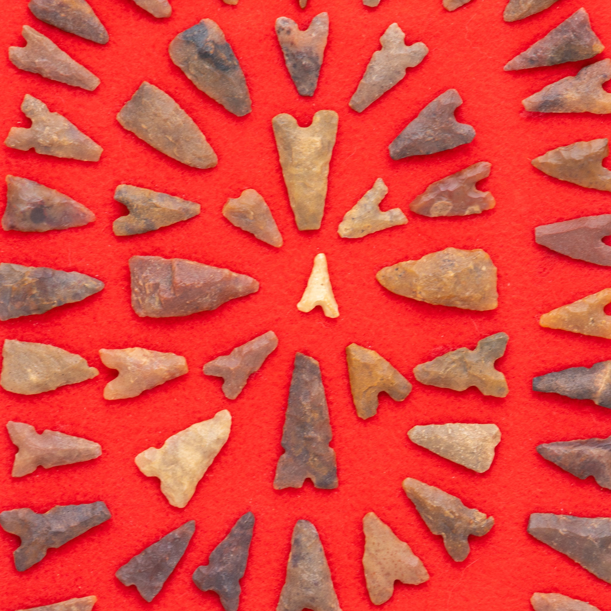Framed Arizona Arrowheads