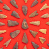Framed Arizona Arrowheads
