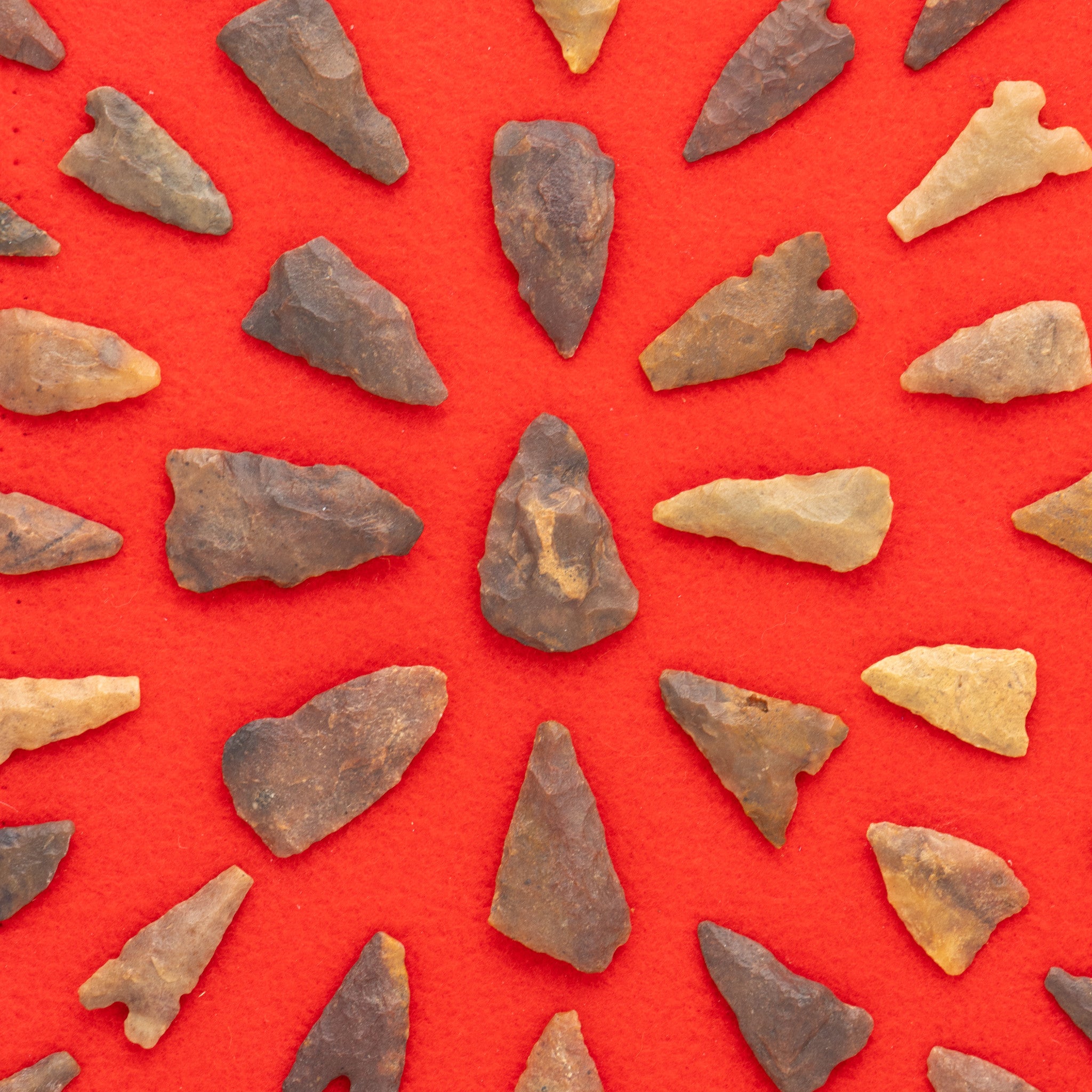 Framed Arizona Arrowheads