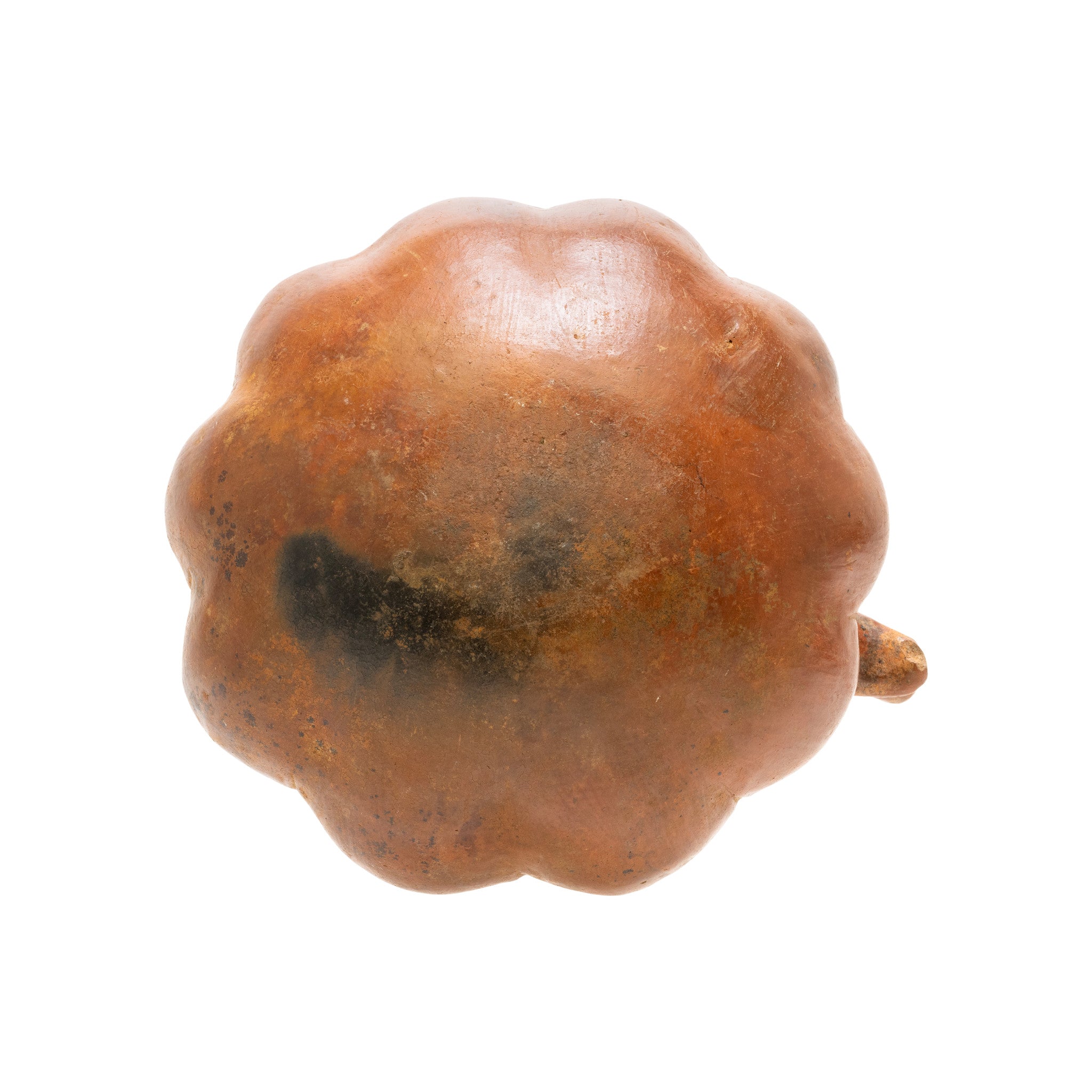 Prehistoric Large Pottery Dog Head