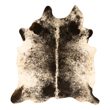 Longhorn Hide, Furnishings, Taxidermy, Longhorn