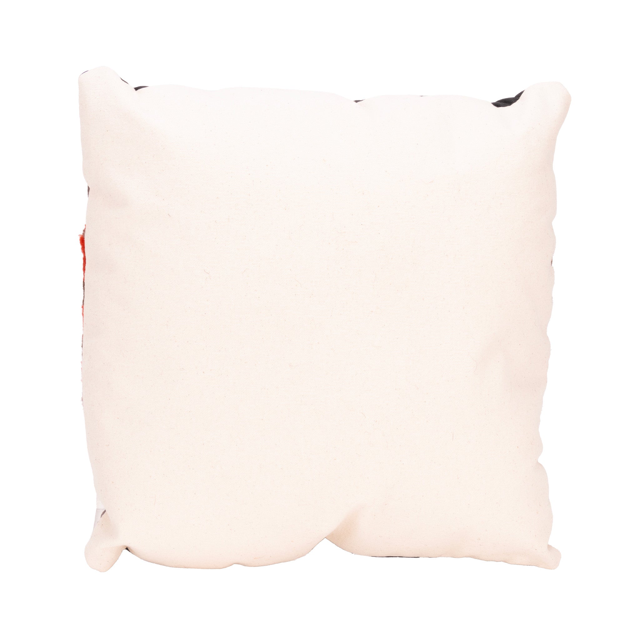 Native Lodge Pillow