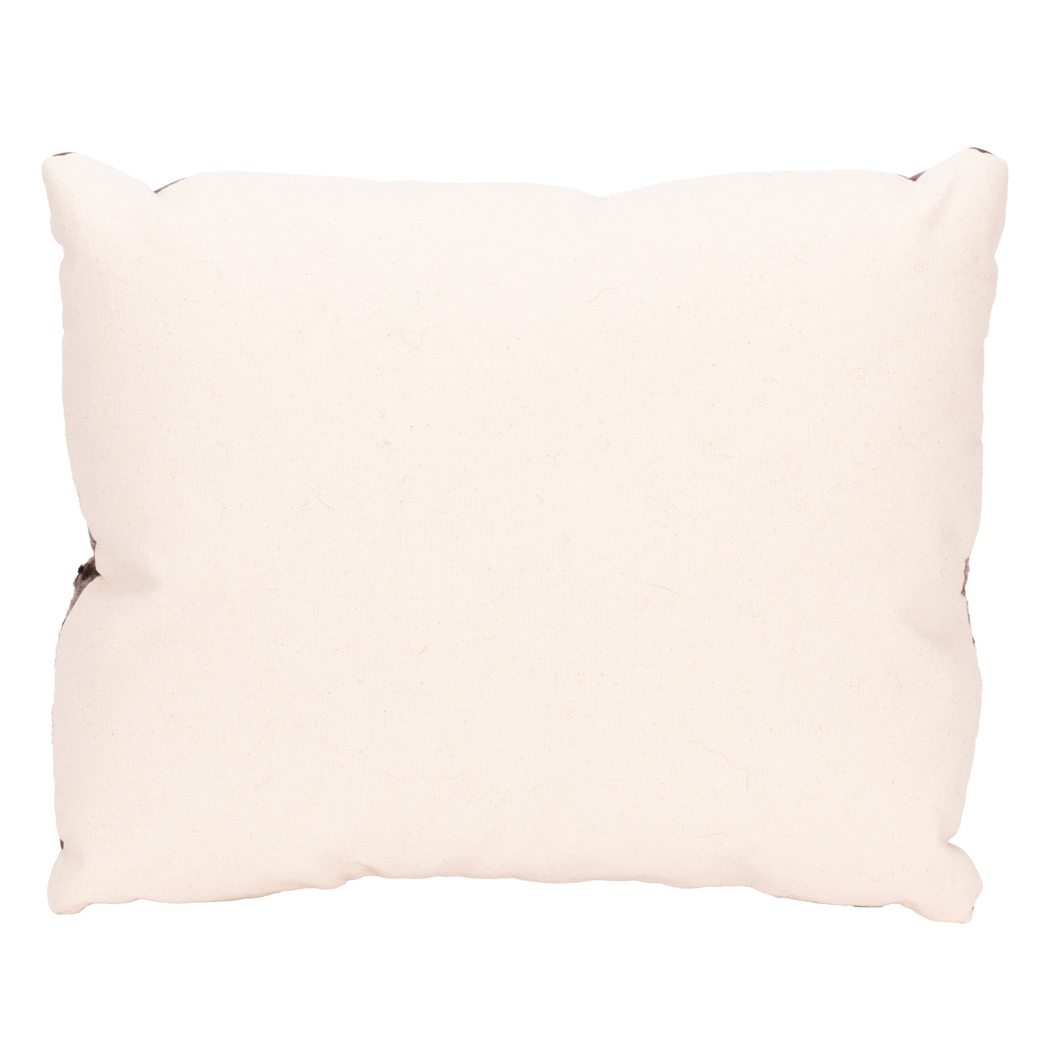Native Lodge Pillow