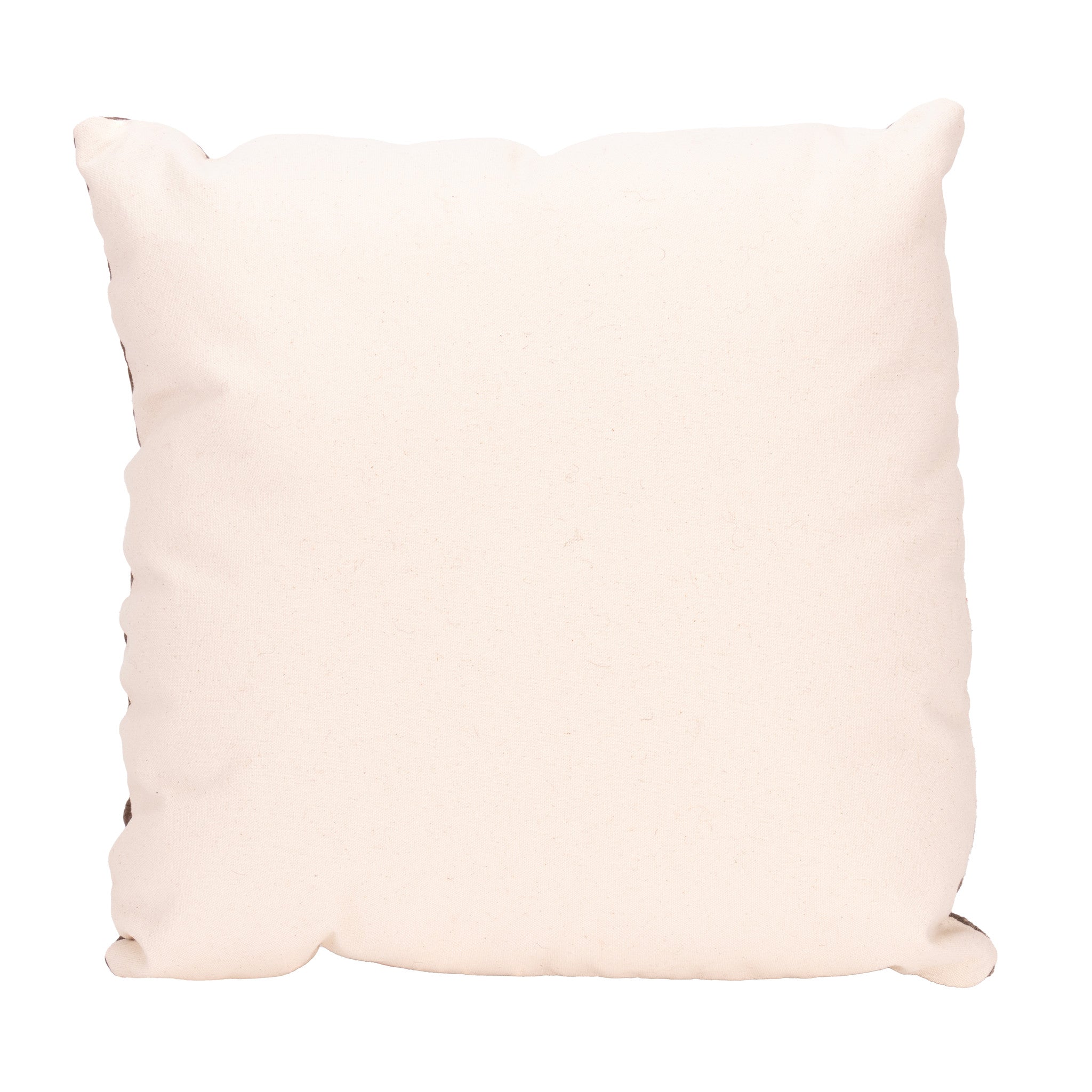 Native Lodge Pillow