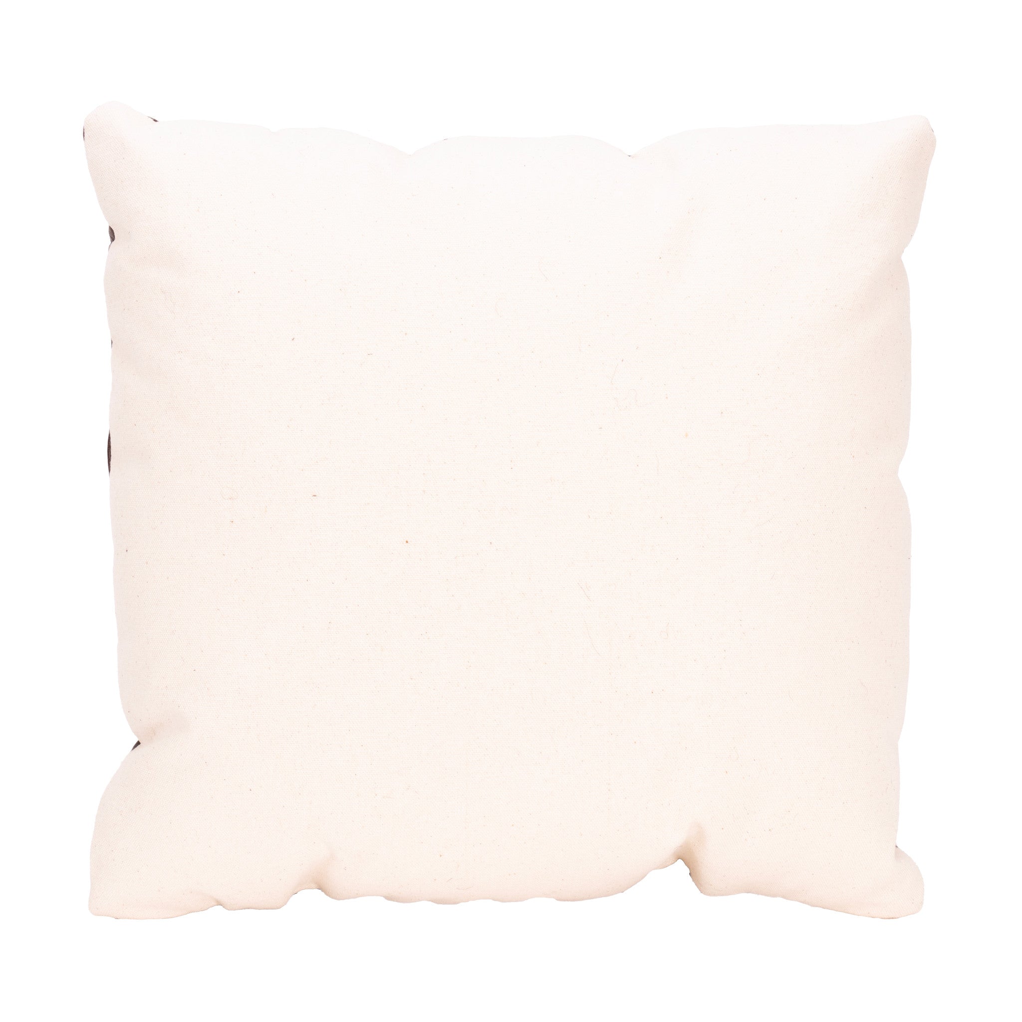 Native Lodge Pillow