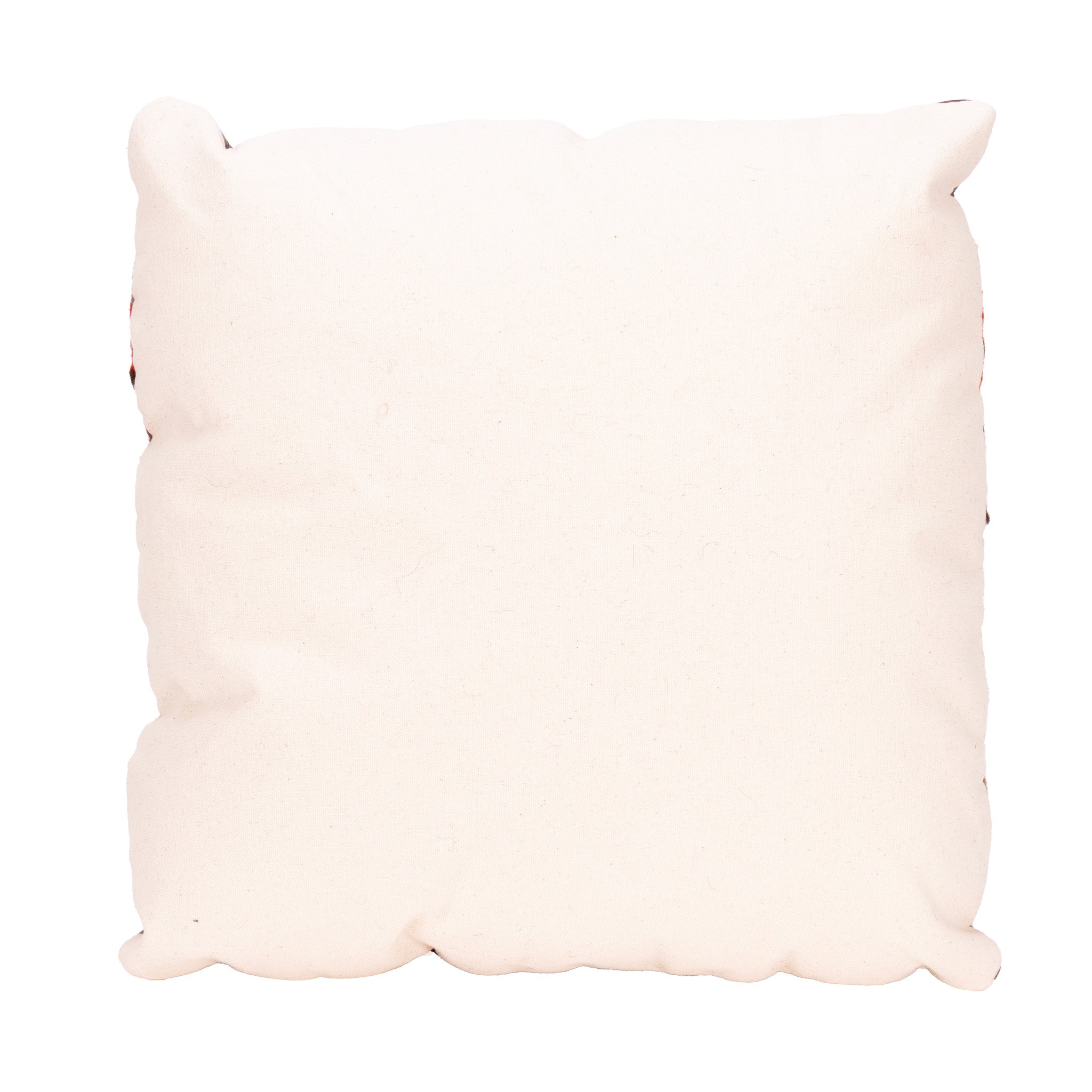 Native Lodge Pillow