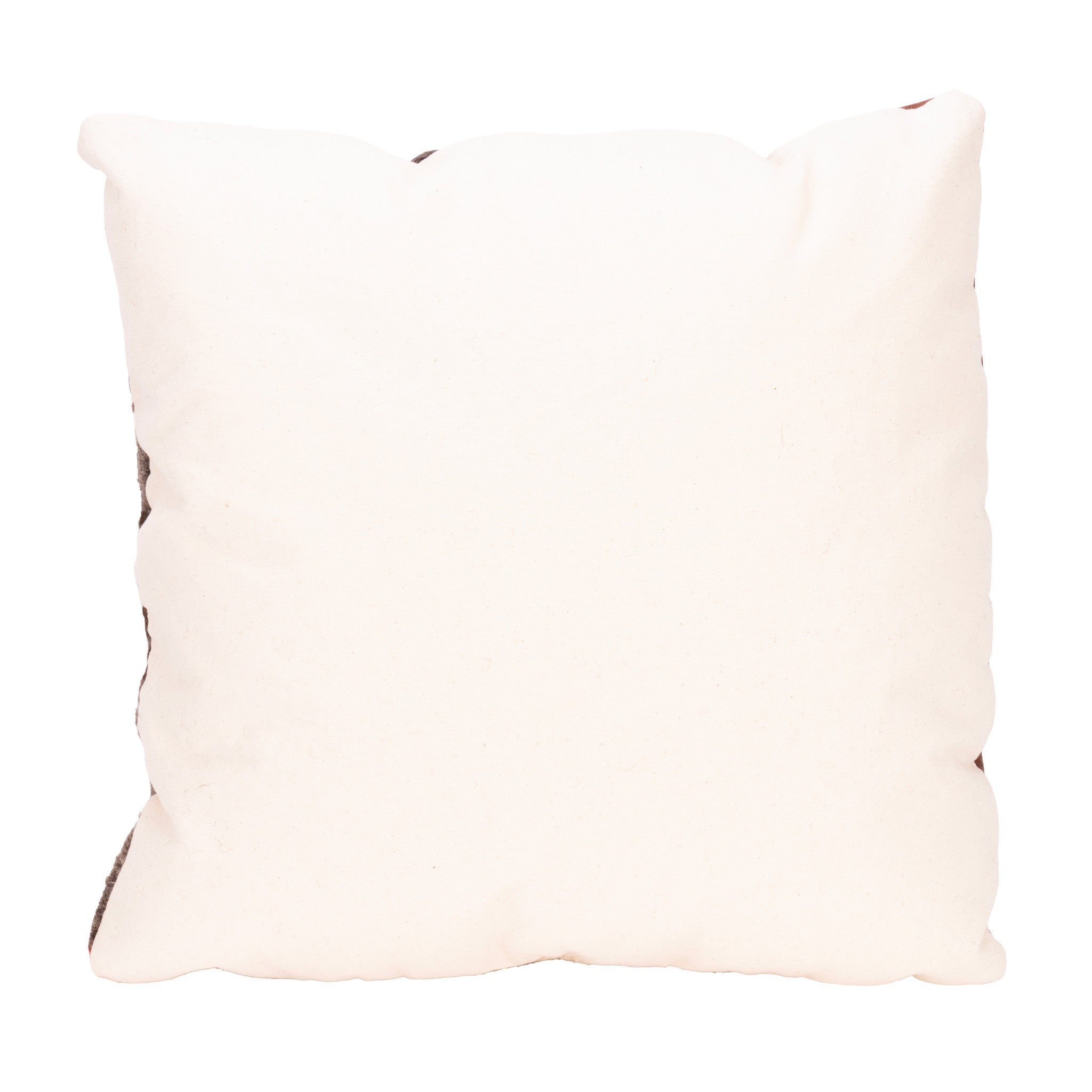 Native Lodge Pillow