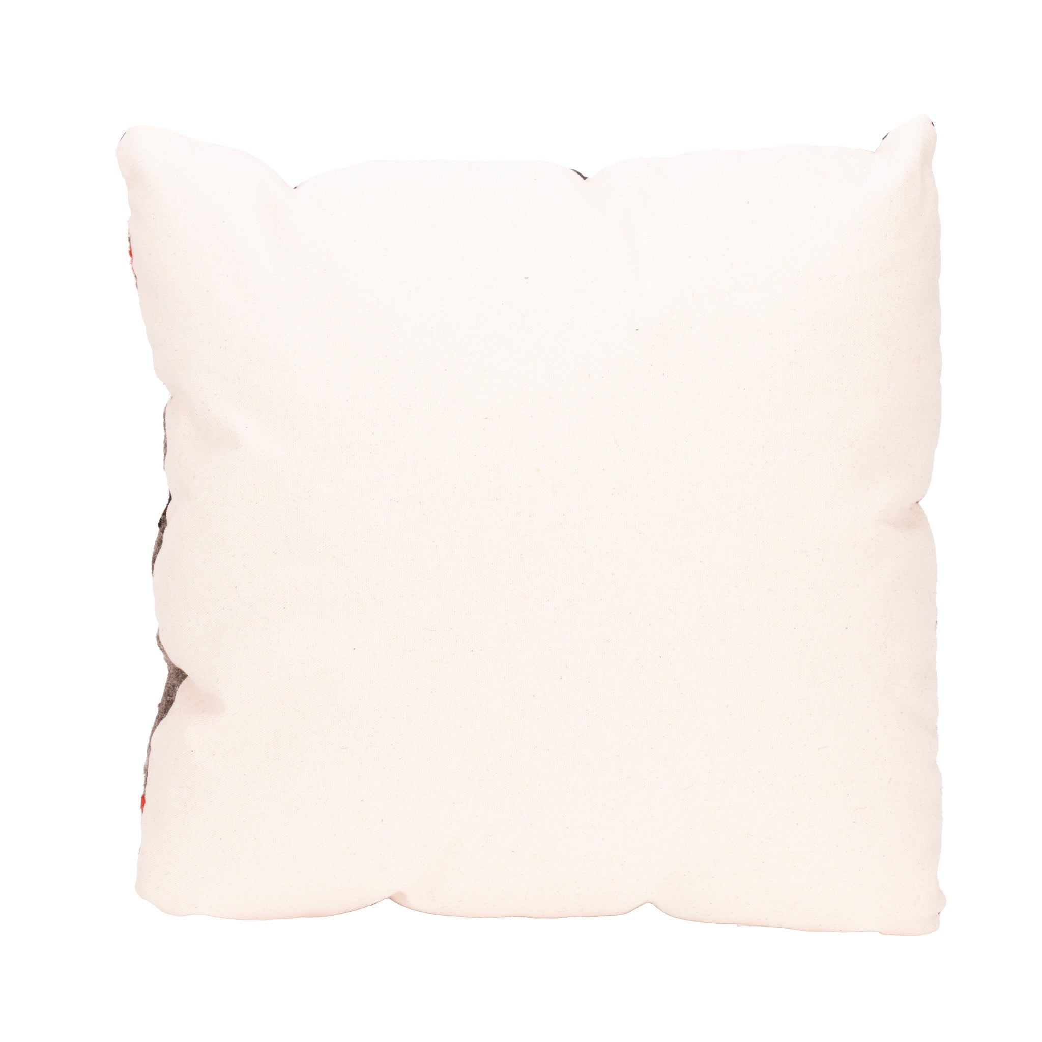 Native Lodge Pillow