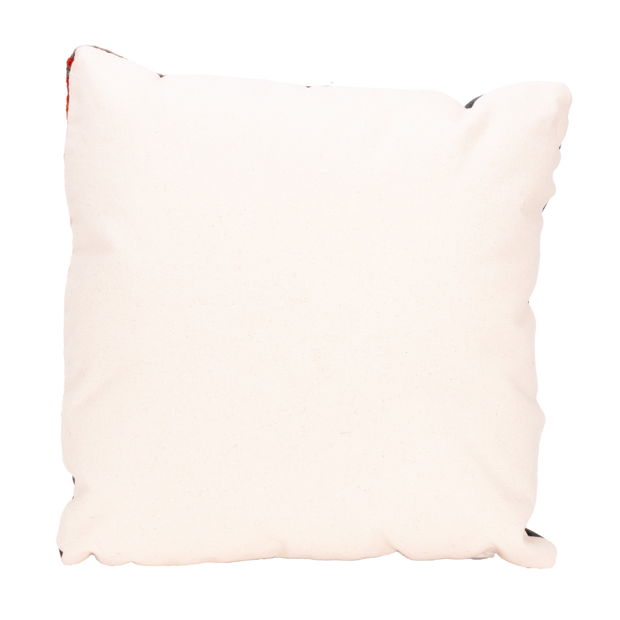 Native Lodge Pillow