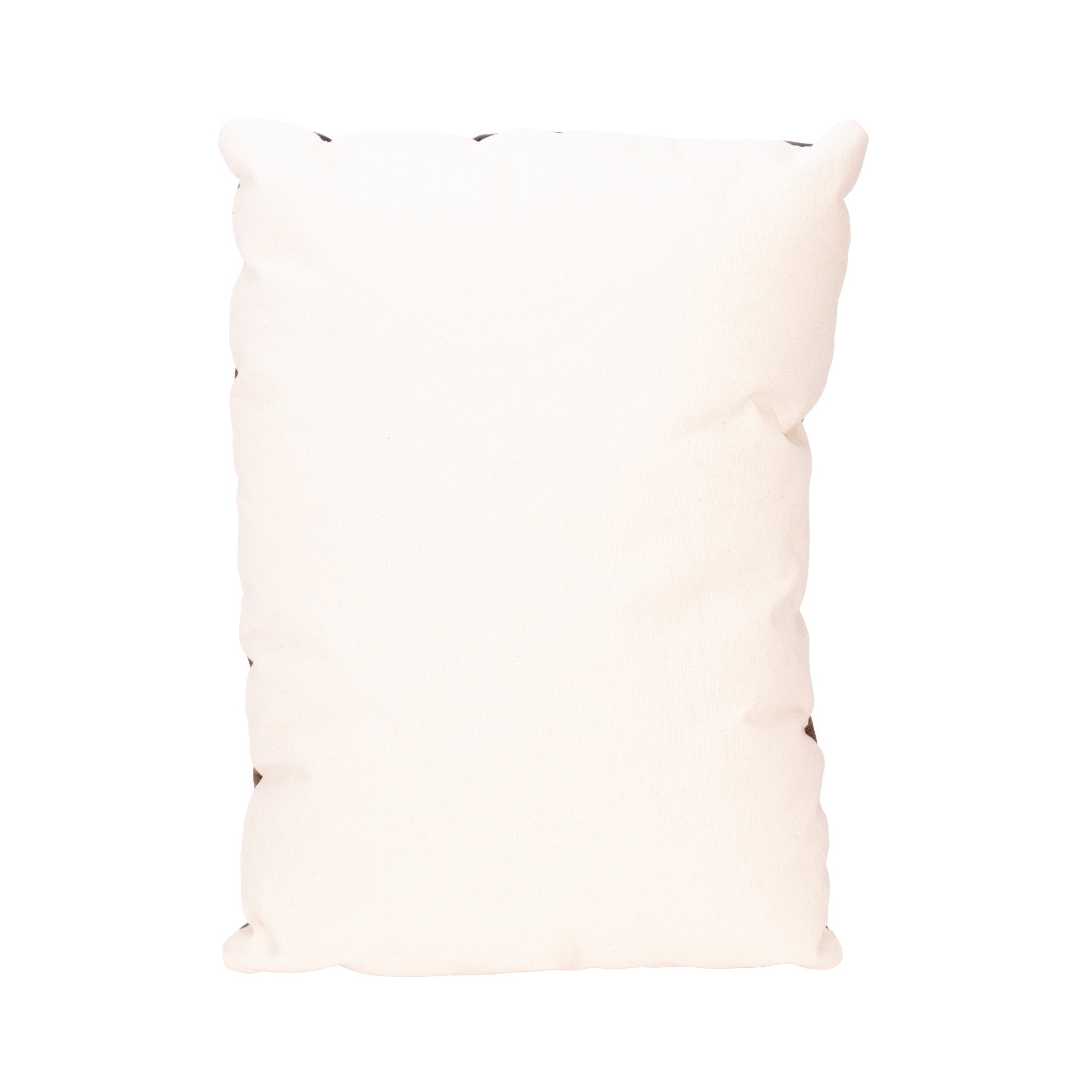 Native Lodge Pillow