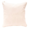 Native Lodge Pillow