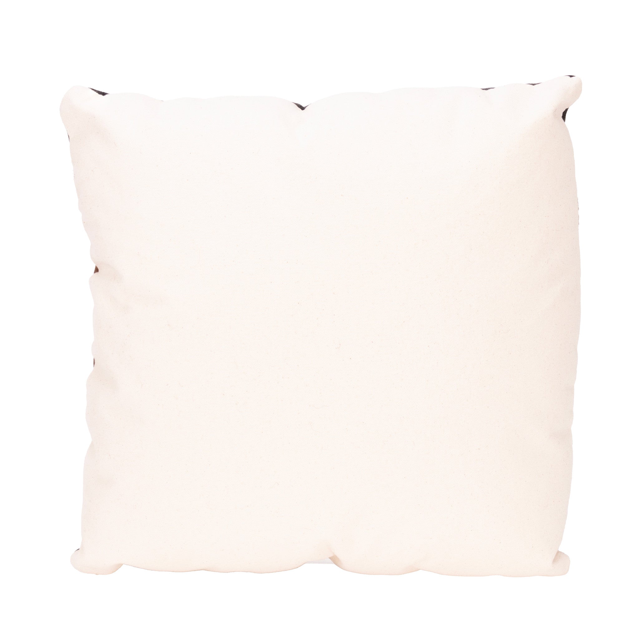 Native Lodge Pillow