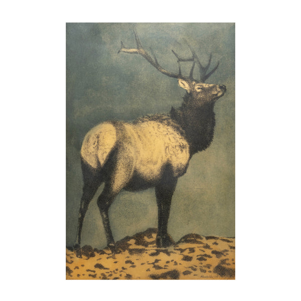 Elk Print, Fine Art, Print, Other