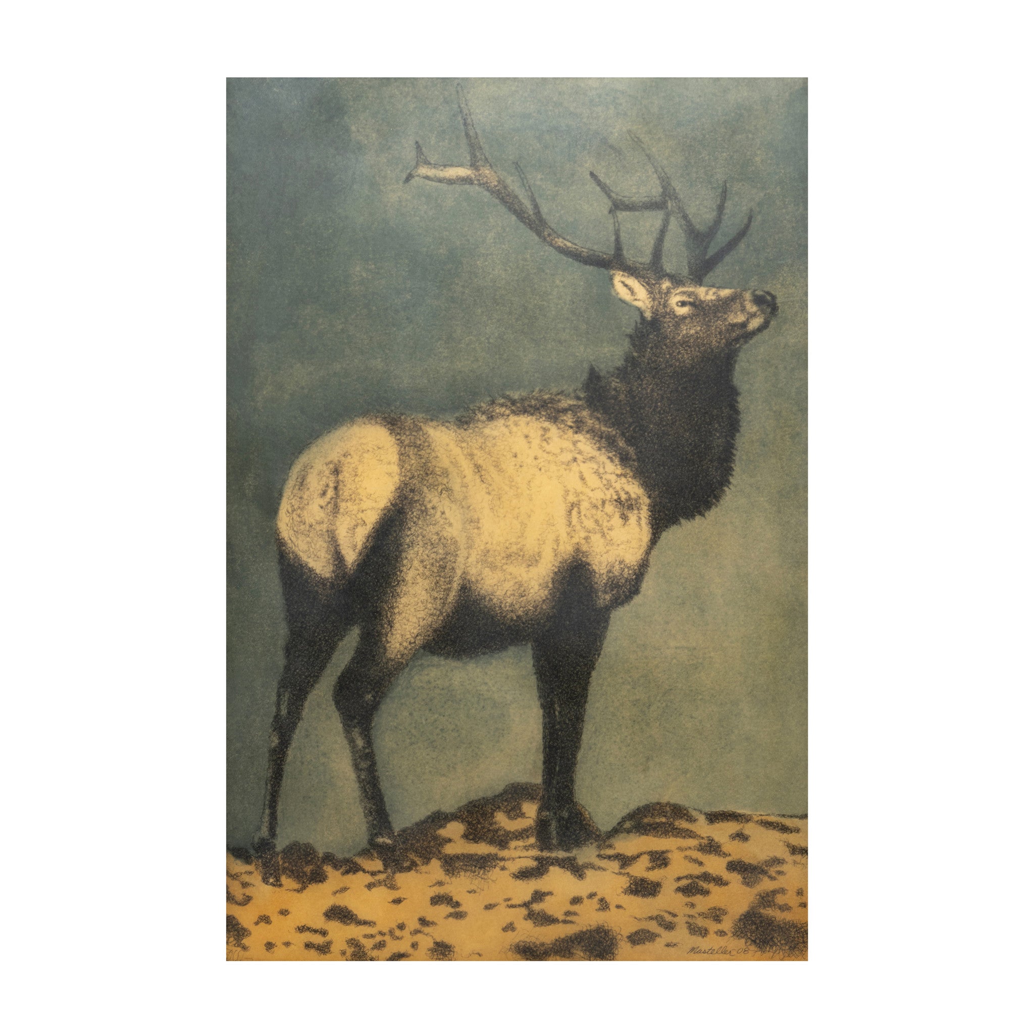 Elk Print, Fine Art, Print, Other