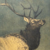 Elk Print