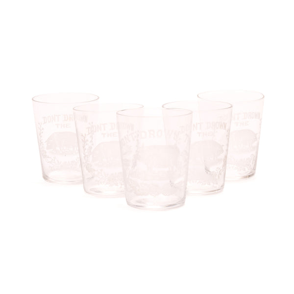 Set of Five Shot Glasses, Western, Drinking, Glass