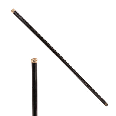 Gold Physician's Cane, Furnishings, Decor, Cane