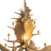 Northern Highland Moose Chandelier