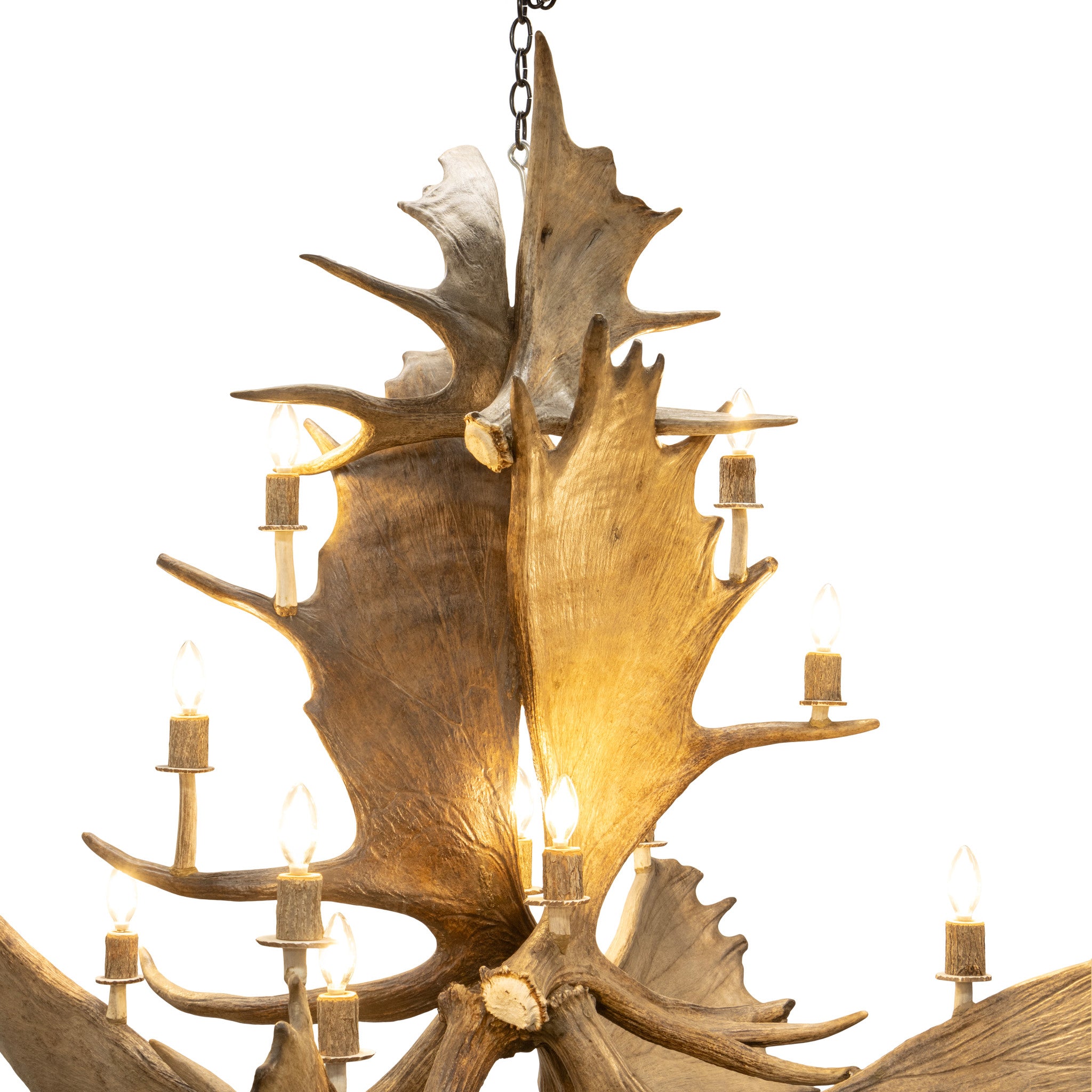 Northern Highland Moose Chandelier