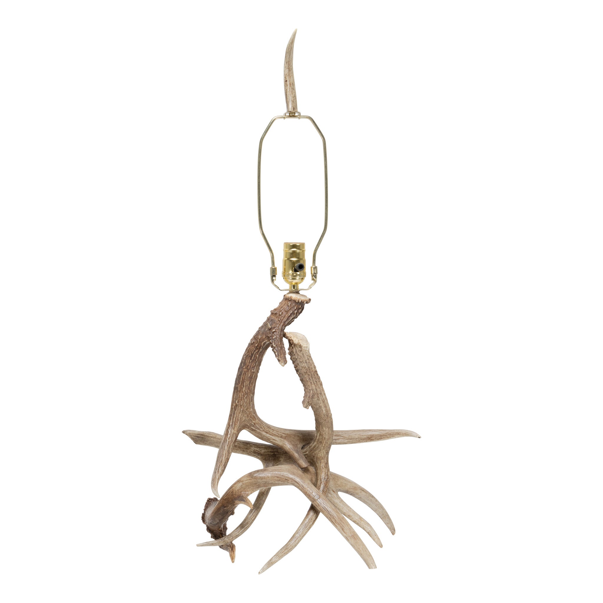 Anter Table Lamp