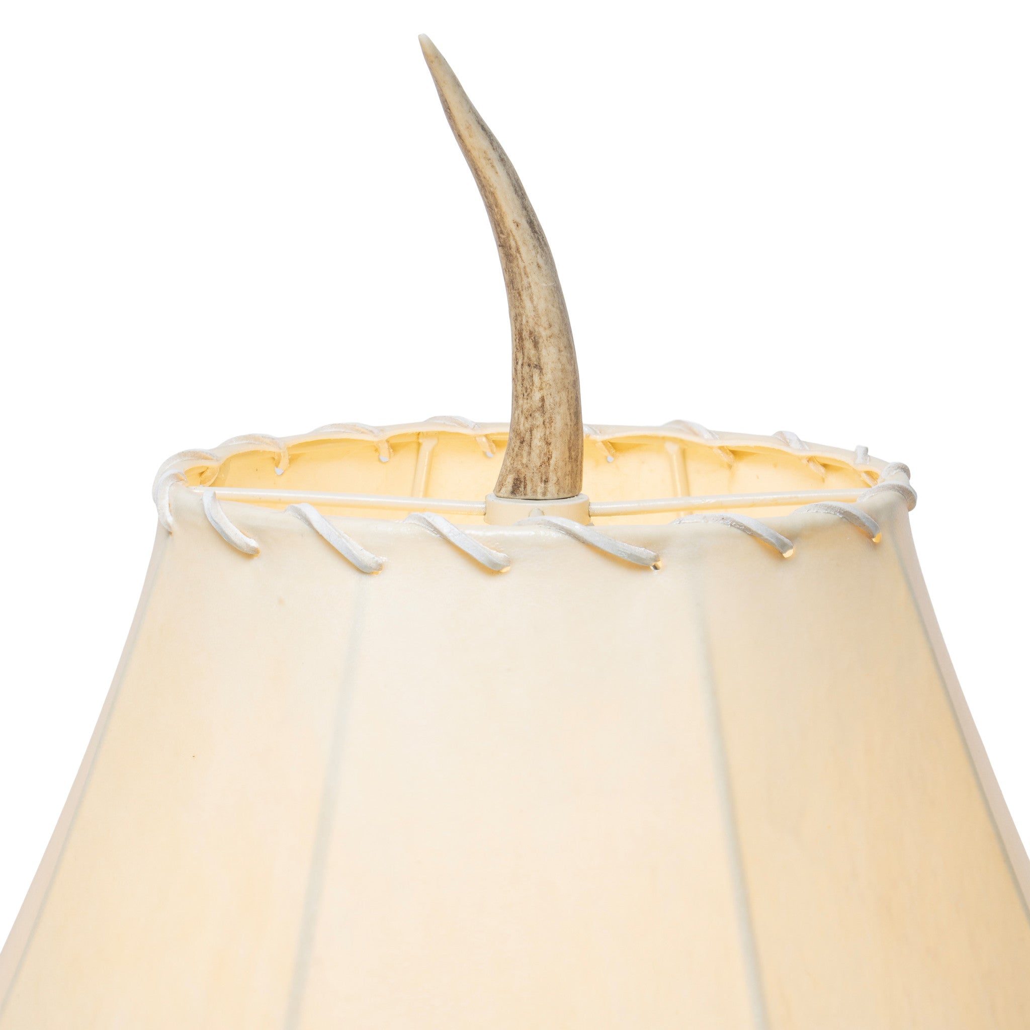 Anter Table Lamp