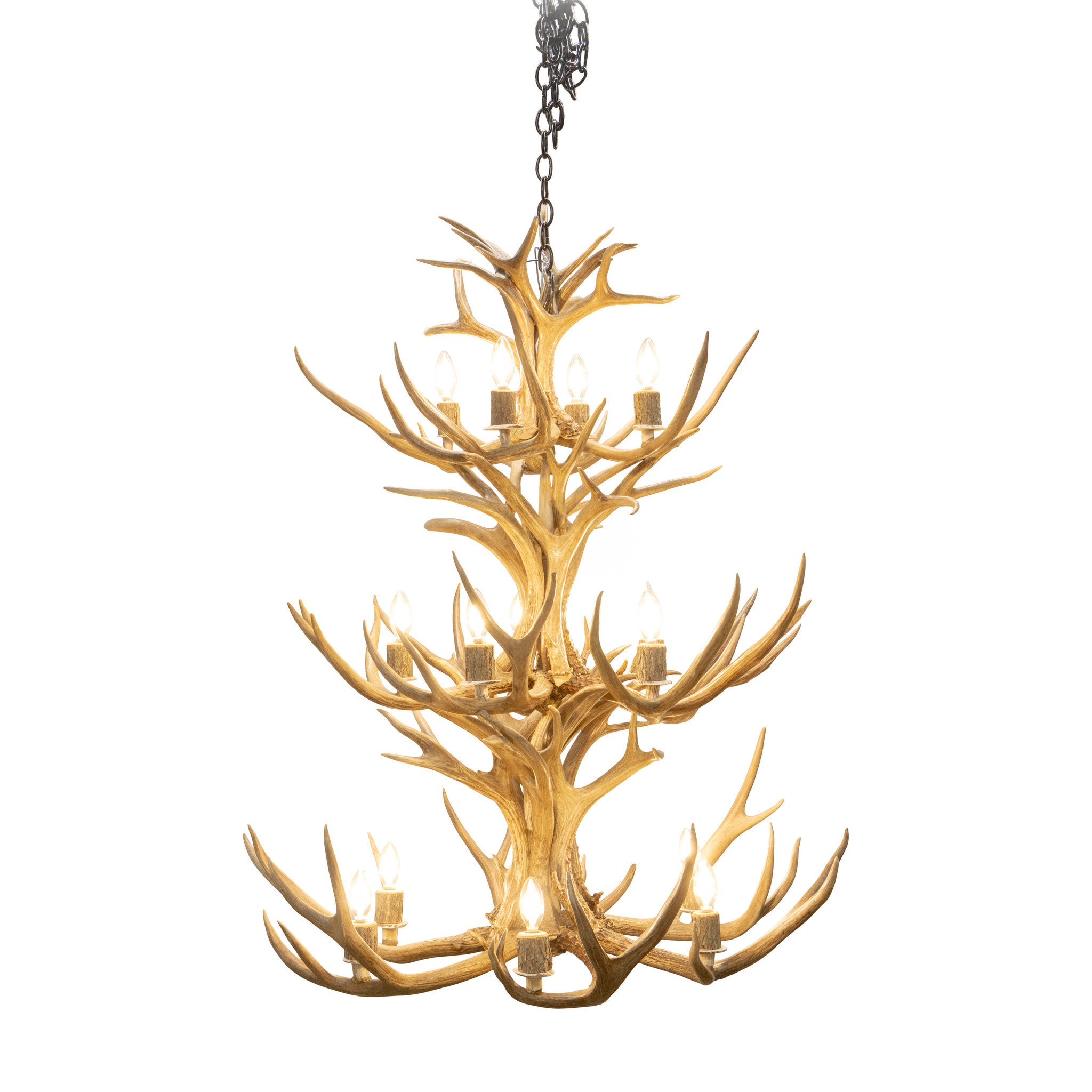 Mule Deer Chandelier