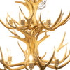 Mule Deer Chandelier